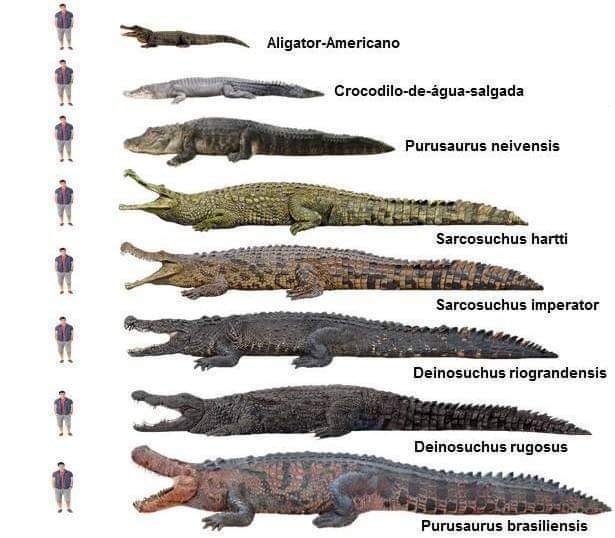 GatorsDaily's tweet image. they took this from us