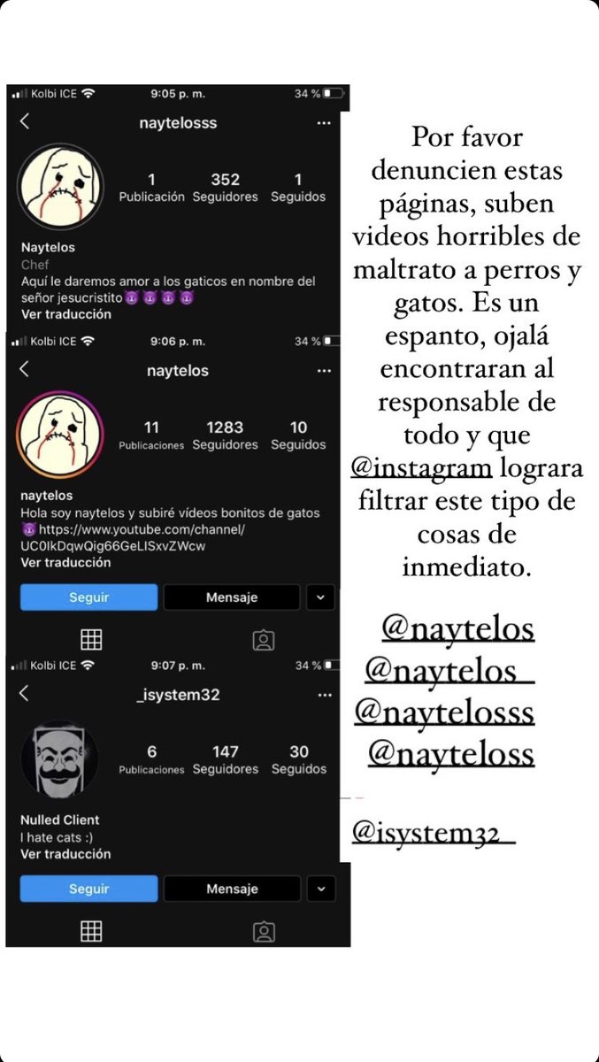 Dejen todo lo que estan haciendo, y VAYAN Y DENUNCIEN la cuenta que esta subiendo videos de gatos y perros maltratandolos!!!!