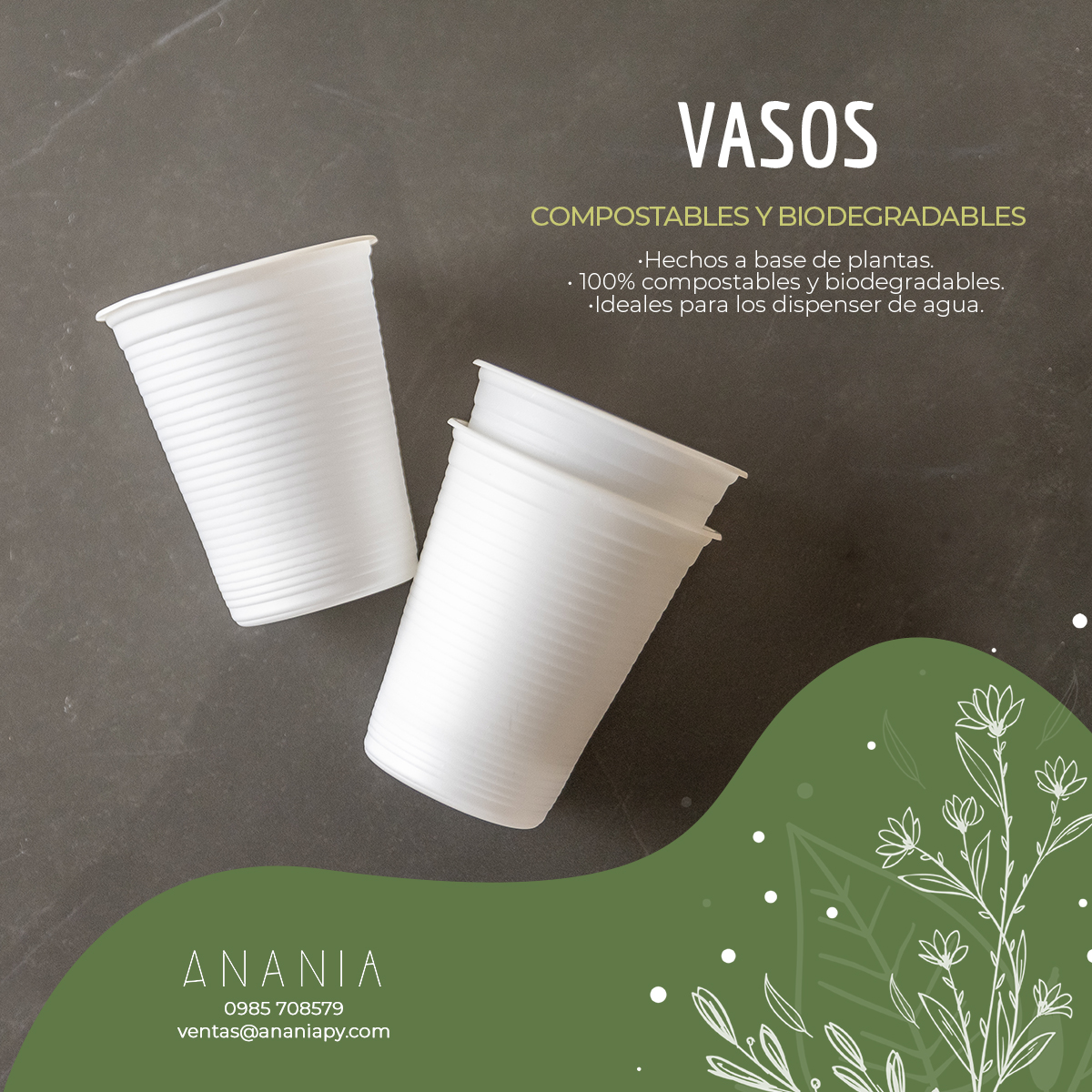anania_py's tweet photo. 💚 Llegaron los vasos biodegradables y compostables https://t.co/dtGTgQAOsi