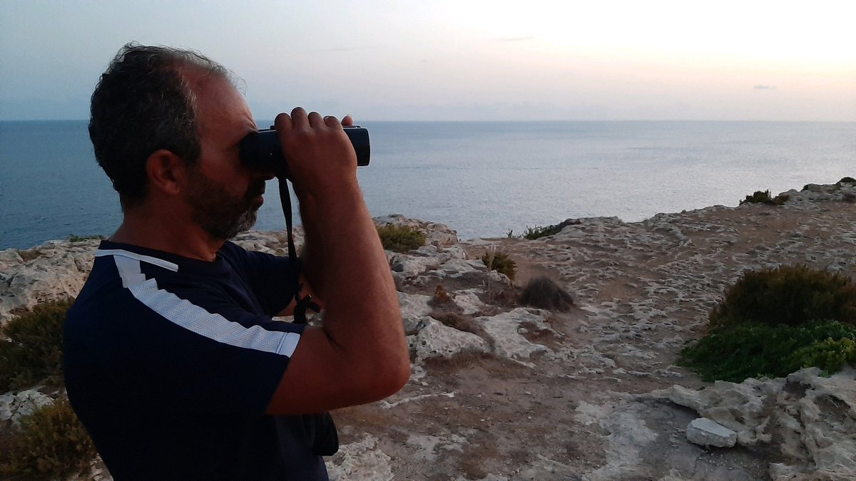 Did you know that the Maltese Islands are an exciting location for bird watching?  And that each of the experiences are quite unique? Contact us about a visit mid April 2021 which can span all three of our inhabited islands mixed in with cultural activities.⠀