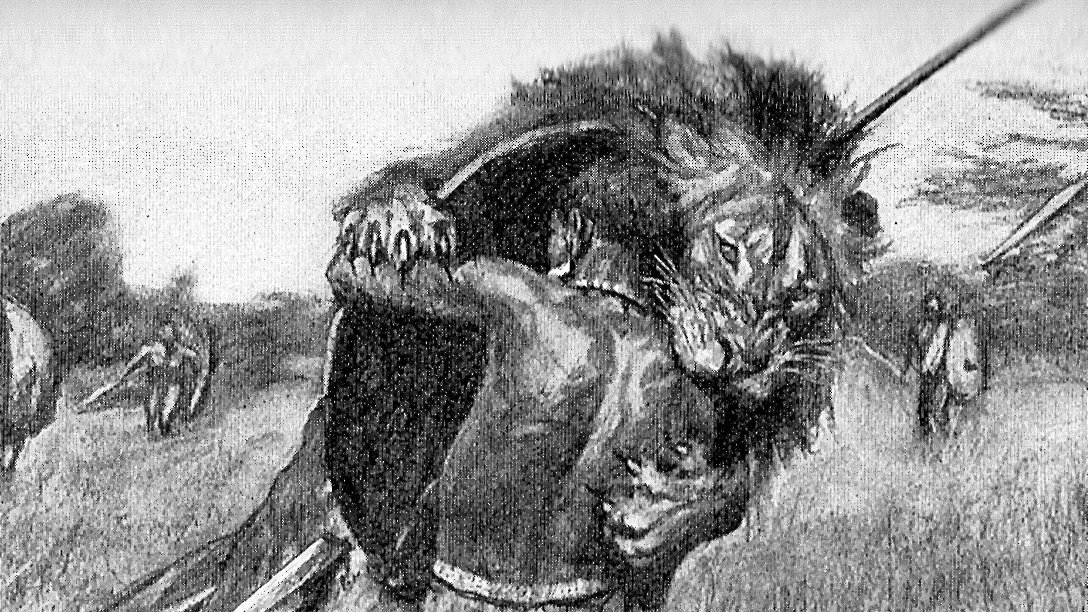 Gordon Grice tweet media