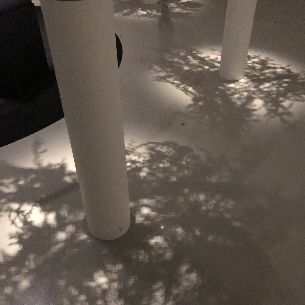 miranoirchaton's tweet photo. 諏訪綾子さんの個展「記憶の珍味」へ。目に見えない「香」をこんな風に演出するなんて本当に刺激的なインスタレーションでした。想像を超えたヒラメキと言葉も素晴らしいです。

9/26まで…気になる方は絶対見たほうが良い、おすすめです！ https://t.co/CVULuVB7Wx