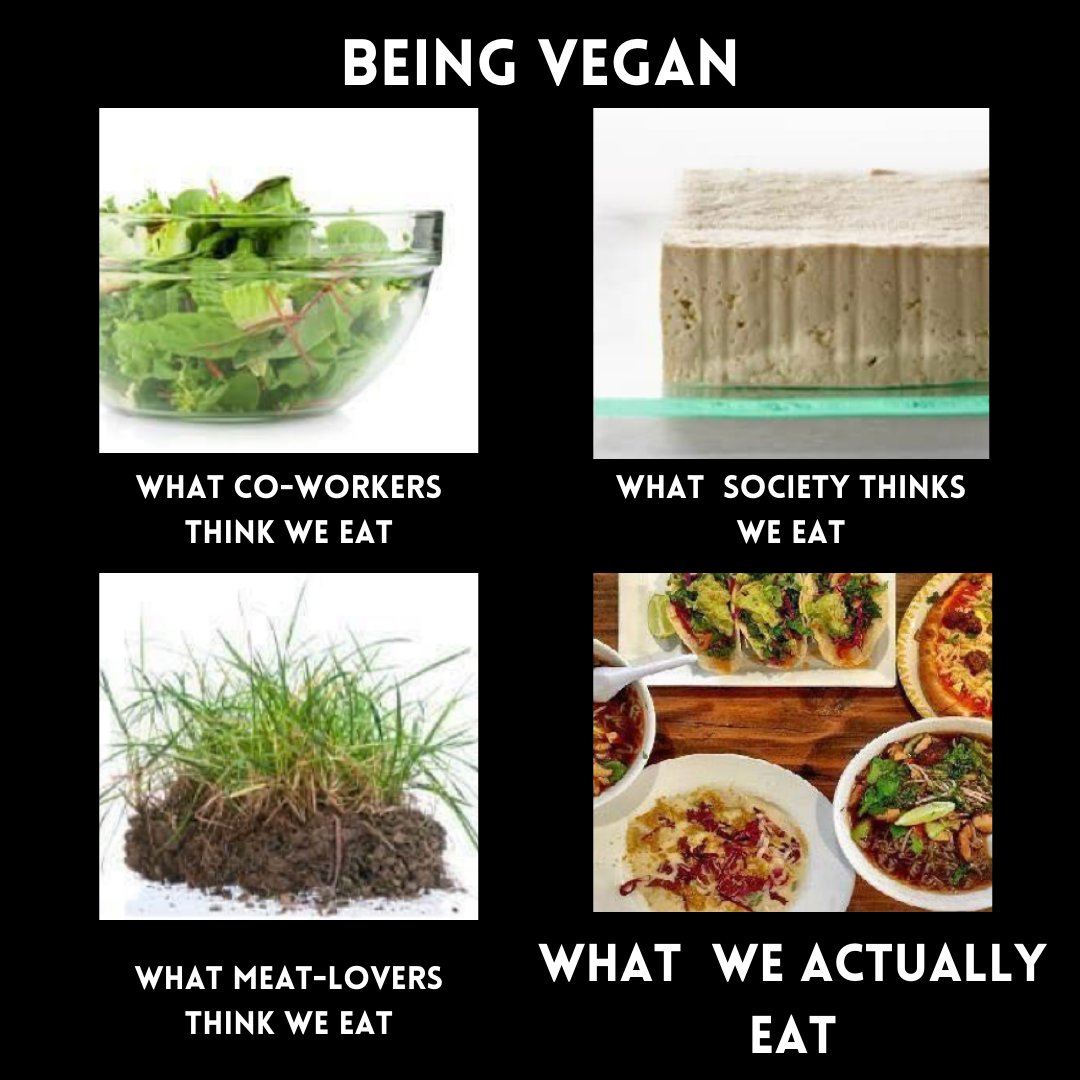 WEgan1M1B's tweet photo. #mythbuster
#mythbusters #mondaymusings #mondaymusing #veganism #vegan #veganfood #food #mondaythoughts #veganlife #veganfoodie #mythbustermonday #mythbustermondays #foodmythbuster https://t.co/1LZqFklZLm