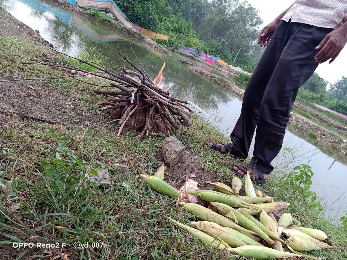 VD__007's tweet photo. #doda
#fish_farm
#kadana_dam https://t.co/OBy3vNHzju