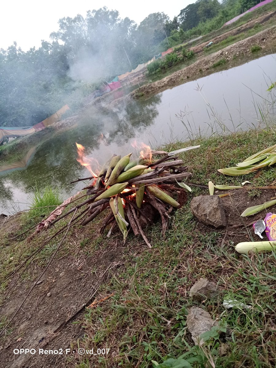 VD__007's tweet photo. #doda
#fish_farm
#kadana_dam https://t.co/OBy3vNHzju