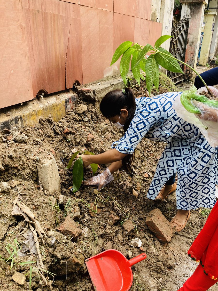 Yoshitapatward1's tweet photo. Plant for environment or SSR and his dream ❤️ #forSSR #SSR @anky1912 @shwetasinghkirt https://t.co/W7TtRX9SKW