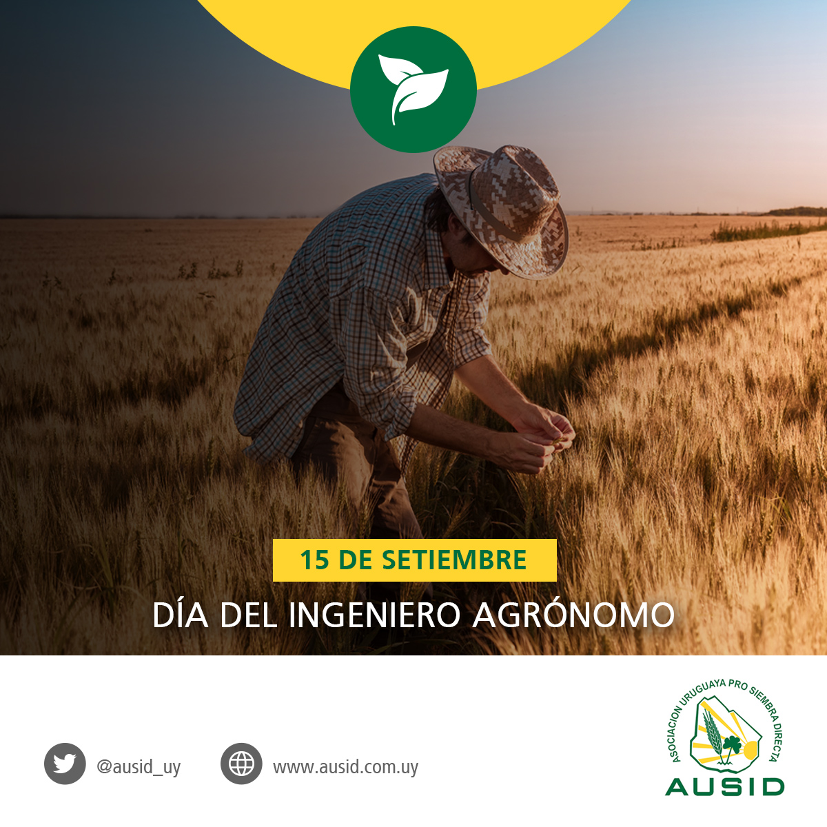 ausid_uy's tweet photo. Hoy queremos enviar un saludo muy especial en su día a todos los Ingenieros Agrónomos y trabajadores del sector cerealista. ¡Gracias por su trabajo diario! 💪🏼💪🏼💪🏼 https://t.co/gCEkOj0Muq