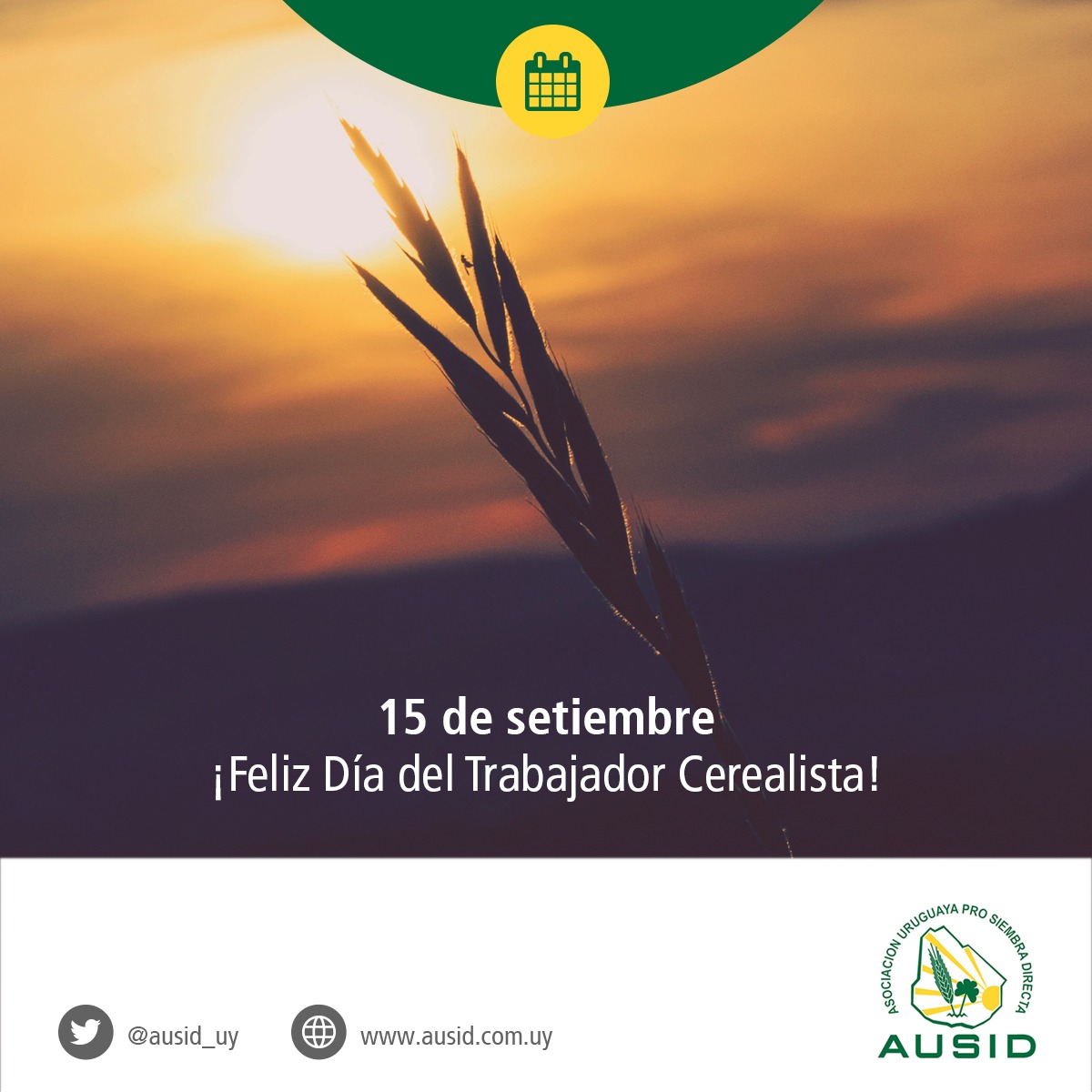 ausid_uy's tweet photo. Hoy queremos enviar un saludo muy especial en su día a todos los Ingenieros Agrónomos y trabajadores del sector cerealista. ¡Gracias por su trabajo diario! 💪🏼💪🏼💪🏼 https://t.co/gCEkOj0Muq