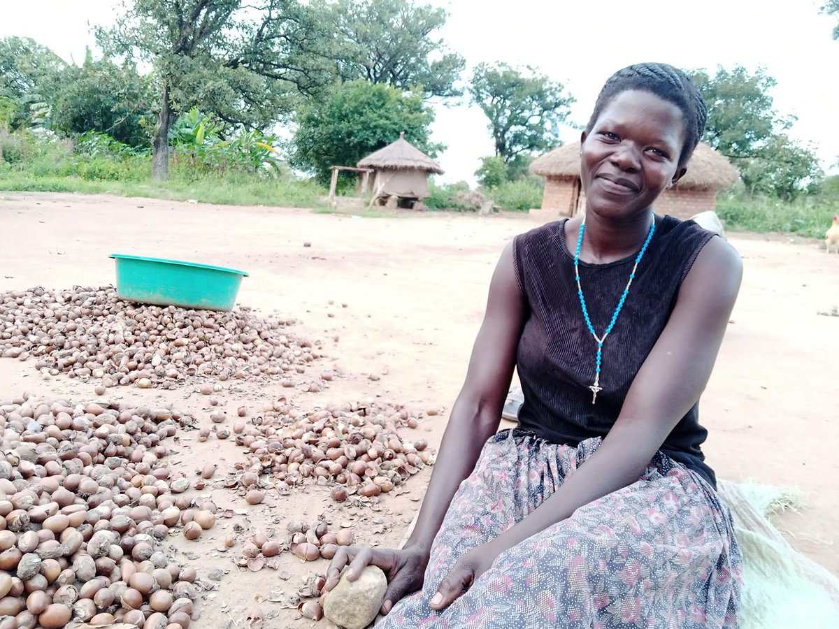 OkereCity's tweet image. Mary, one of the Okere women icons unshelling shea nuts. Up to about 5M African women work directly or indirectly on various #sheabutter chains (drying, splitting, cleaning and grinding the nuts to powder, extracting the precious butter, packaging and selling). #OkereSheaButter