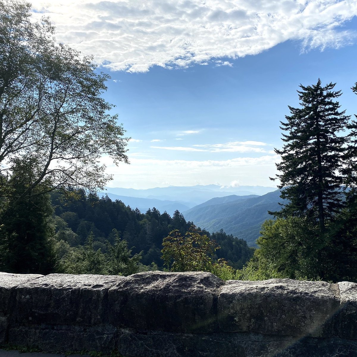 “I felt my lungs inflate with the onrush of scenery—air, mountains, trees, people. I thought, "This is what it is to be happy.” -- Sylvia Plath

What is your happiest memory of the Smokies?

NPS photo by A. Bate
