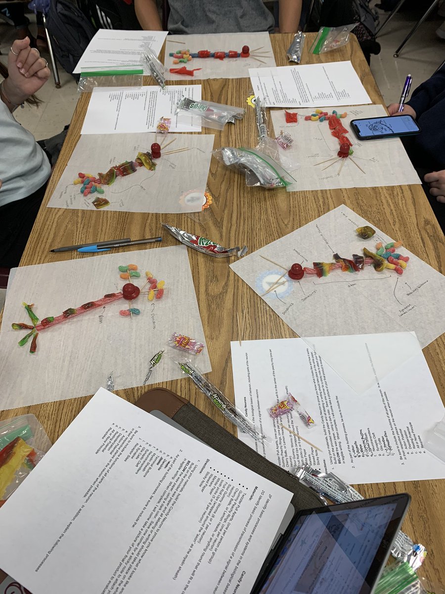 MrsCantu_mhs's tweet photo. Building candy neurons in AP/IB Psychology SL, and describing the function of neurotransmission. 😊 @MHSadvac https://t.co/lZXFTxqT3Q