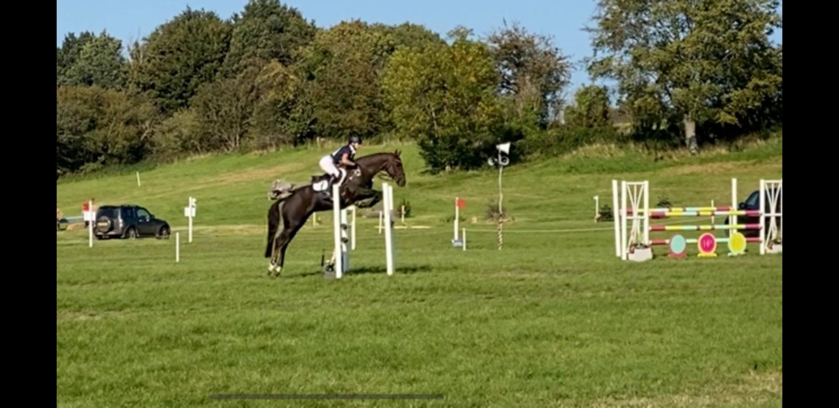 Equestrian_PC's tweet photo. What better #MondayMotivation than to relive the successes of the weekend. Multiple top ten finishes across showjumping, dressage, combined training and eventing.. Way to go #TeamPangbourne #mondaythoughts #everybitdetermined https://t.co/iKKYHdbvAF