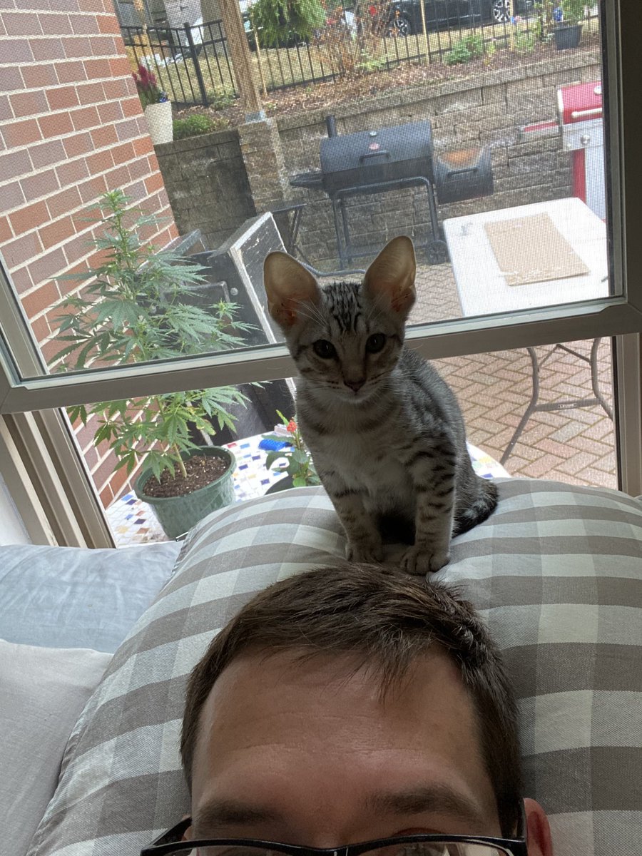 Martuskaa_'s tweet photo. Hello Babou! https://t.co/jzvCCcjKB9