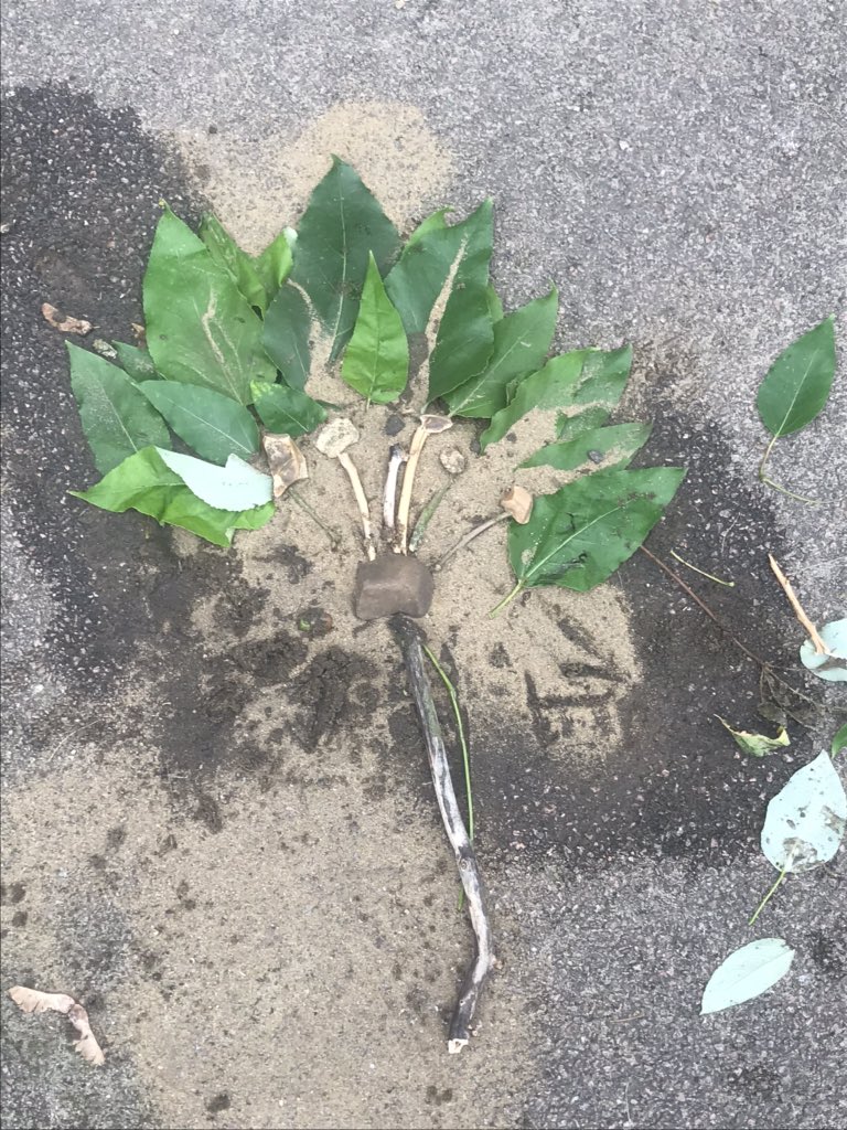TickfordPark's tweet photo. We have been learning the scientific names for plants and then creating them from natural materials. #TPemerald #TPmoonstone #TP4science https://t.co/ecOM5BJUwl