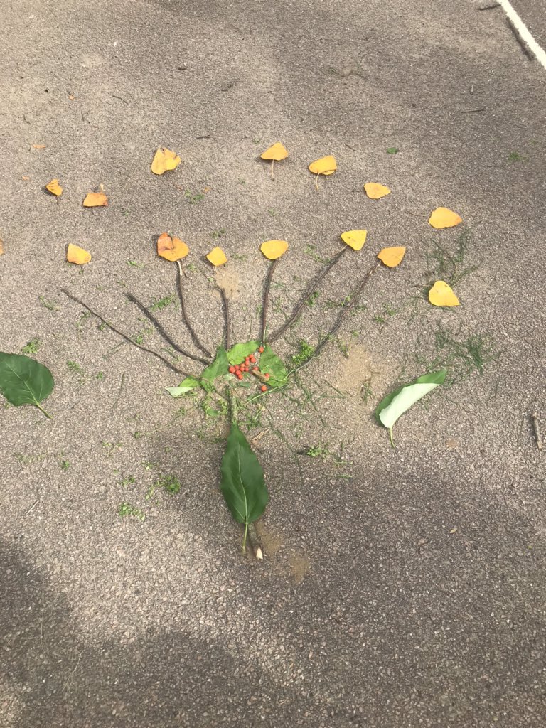 TickfordPark's tweet photo. We have been learning the scientific names for plants and then creating them from natural materials. #TPemerald #TPmoonstone #TP4science https://t.co/ecOM5BJUwl