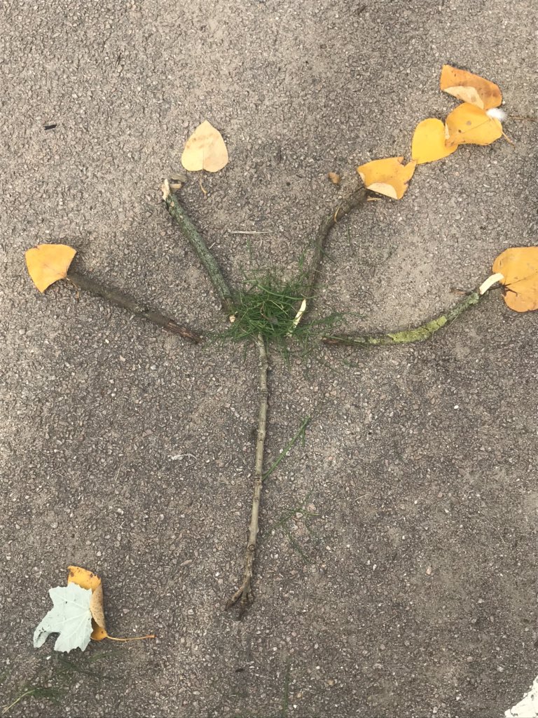 TickfordPark's tweet photo. We have been learning the scientific names for plants and then creating them from natural materials. #TPemerald #TPmoonstone #TP4science https://t.co/ecOM5BJUwl