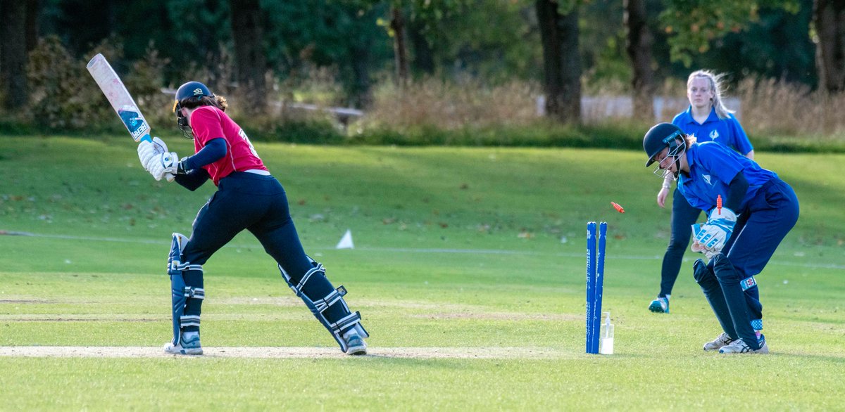 Donald MacLeod tweet media