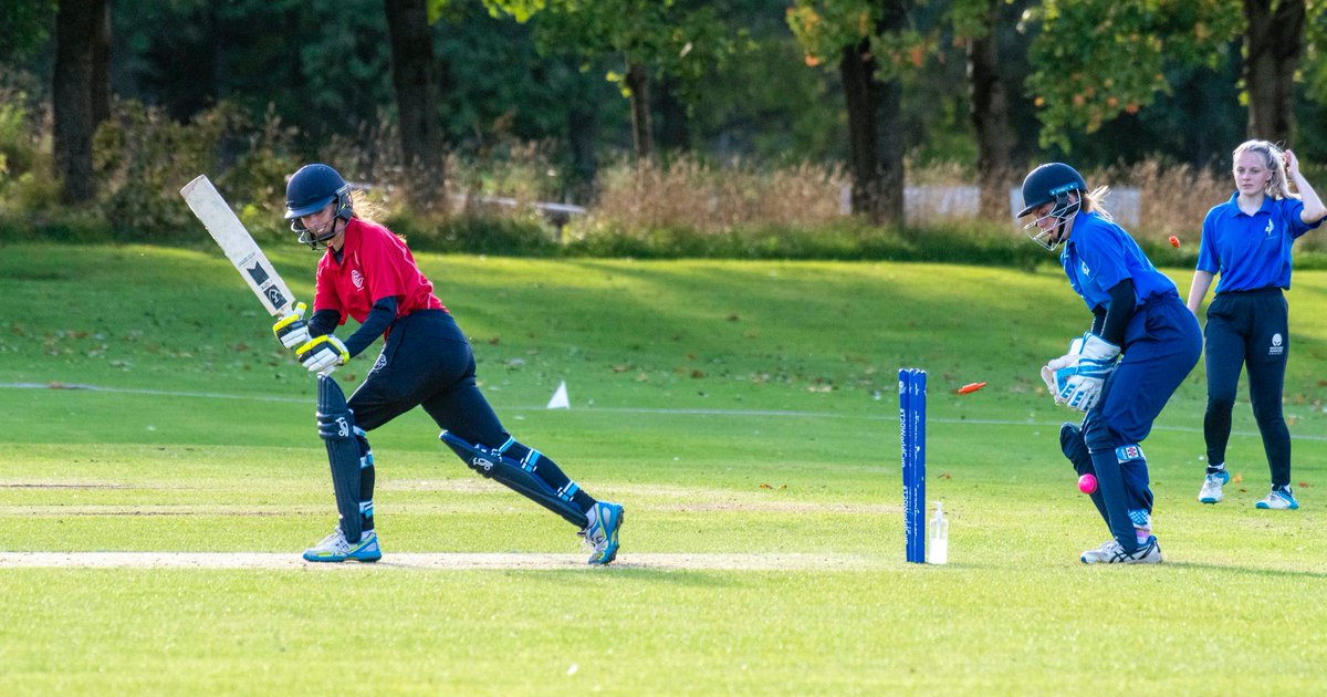 Donald MacLeod tweet media