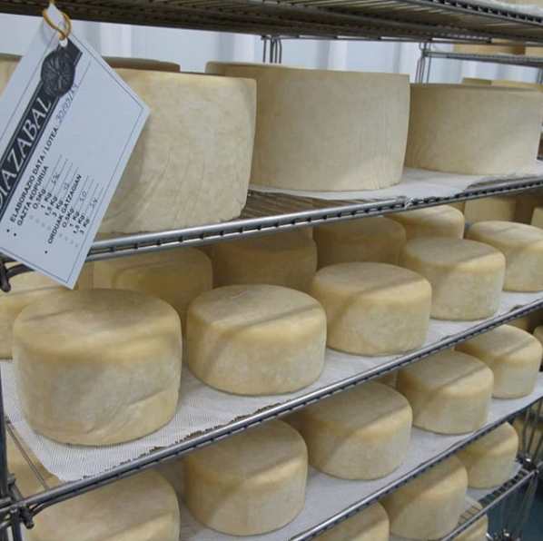 olmedaorigenes's tweet photo. artisan idiazabal cheese D.O. Olmeda Orígenes in the maduration chamber
•
#olmedaorigenes #bestspanishfood #spanishfood #spain #internationalcheeseday #cheeseday #cheeseaddicts https://t.co/mHcv4pqFmd