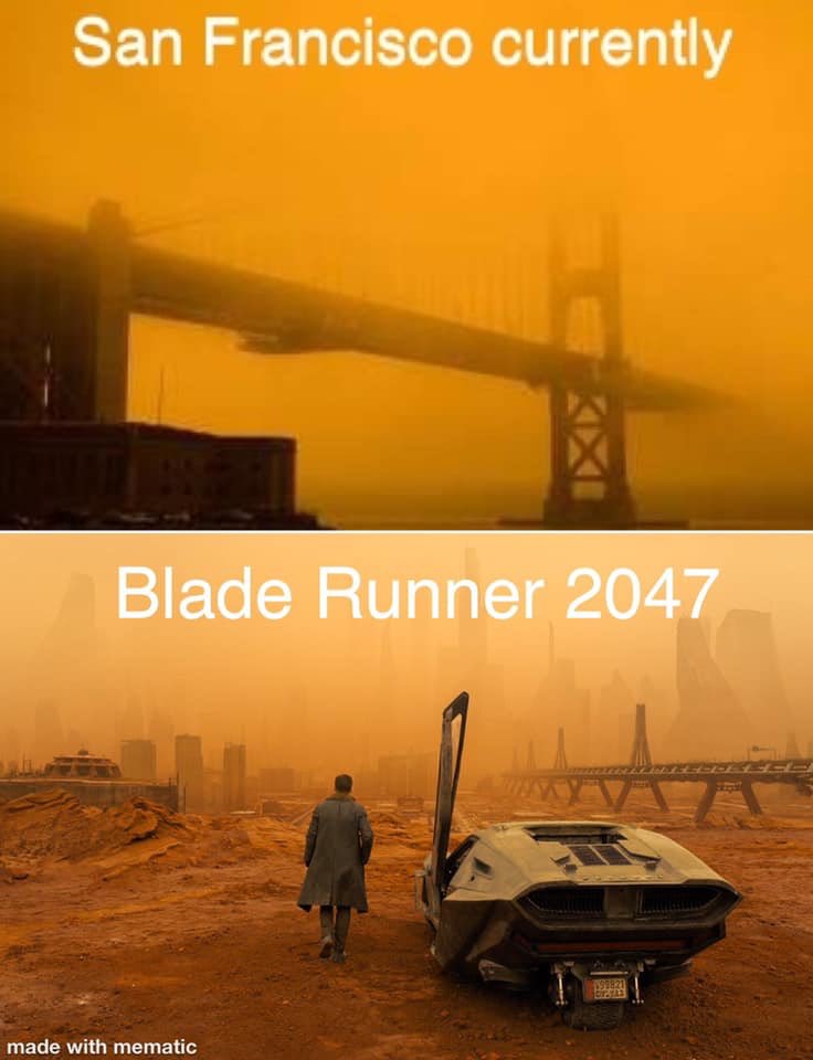 Todd Edwards tweet media