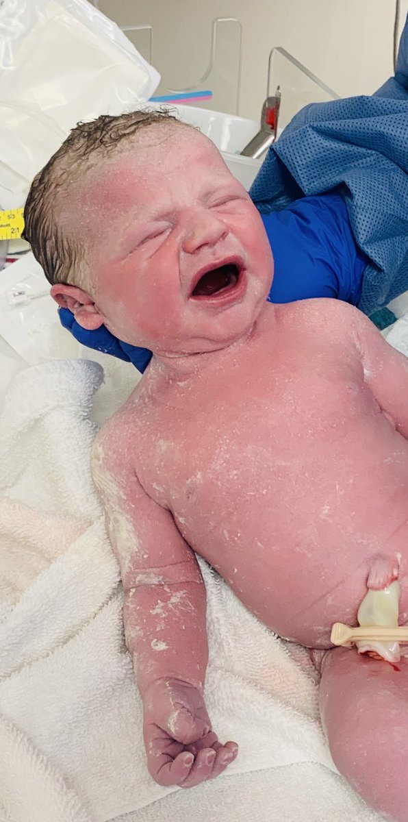 Coach BJ Payne tweet media