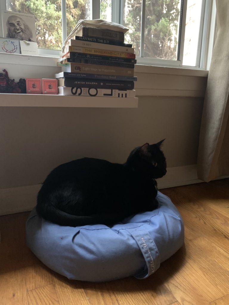 blahblahbryan's tweet photo. My meditation buddy. https://t.co/TycGJvGMne