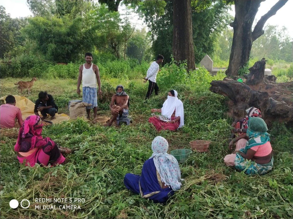 #POSHANMaah2020 
पोषण सबंधी विषयों पर आज <a href="/SurajpurDist/">Surajpur</a>  मे कृषक समूह के बैठक का आयोजन किया गया 
#SahiPoshanCGRoshan 
#Local4Poshan 

 <a href="/MinistryWCD/">Ministry of WCD</a> <a href="/POSHAN_Official/">POSHAN Abhiyaan</a> <a href="/RanbirSharmaIAS/">Ranbir Sharma IAS</a> <a href="/akash_chhikara/">Akash Chhikara</a> <a href="/SPreraks/">Swasth Bharat Prerak Program</a> <a href="/WCDCgGov/">WCD Department CG</a>