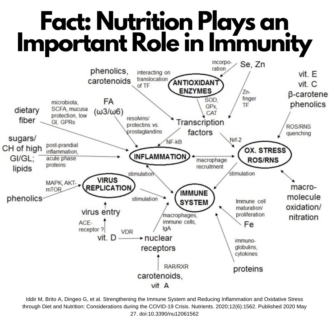 ariana_rdn's tweet photo. #nutrition and #immunity https://t.co/naHmNv0ZwS