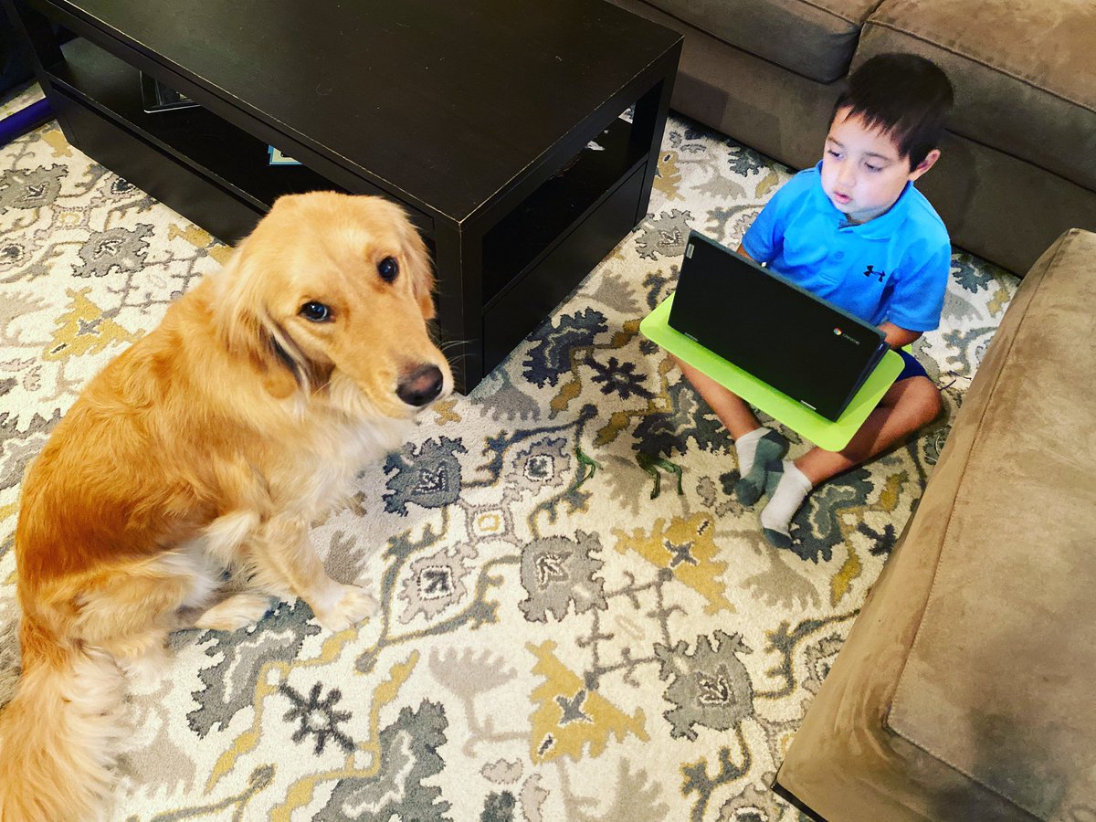 Coach_Campbell's tweet photo. We went with alternative seating during Grayson’s MAP-RF assessment this morning!
London took his proctoring job very seriously.
@NWEA #MAPrf #NWEA
#ecr4kids #TheSurf #LapDesk
#MCPS
#CovidSchooling
#CovidSchool2020 https://t.co/XQz8afsn8g