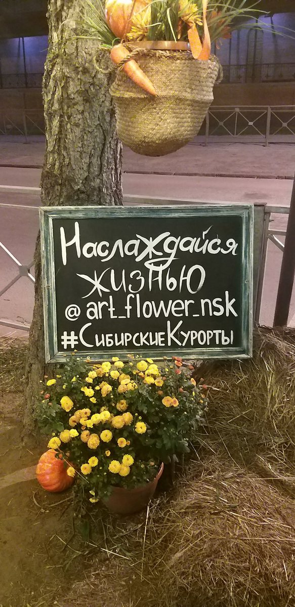 Вечерний Новосибирск прекрасен ❤