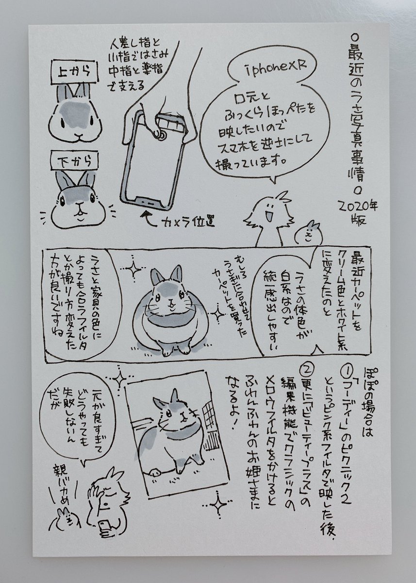 最近のうさ写真事情 