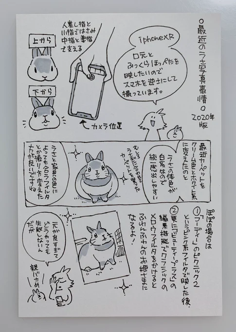 最近のうさ写真事情 