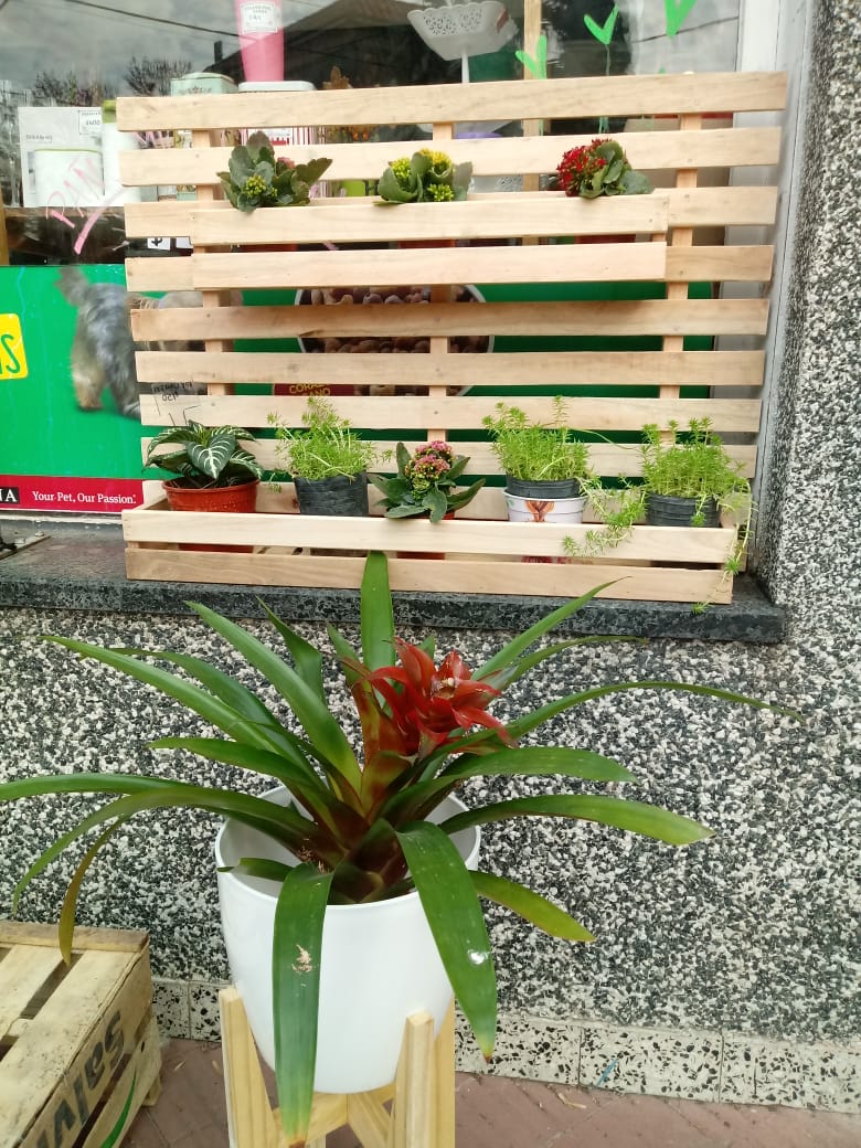 Mica_Bersani's tweet photo. Como saben todos estamos viviendo una situación difícil, mi papa empezó a hacer estos maceteros a un precio muy económico. También hace a medida o si tienen algún modelo en mente♥ si me ayudan difundiendo se los agradezco. https://t.co/kdZJrl9Nsu