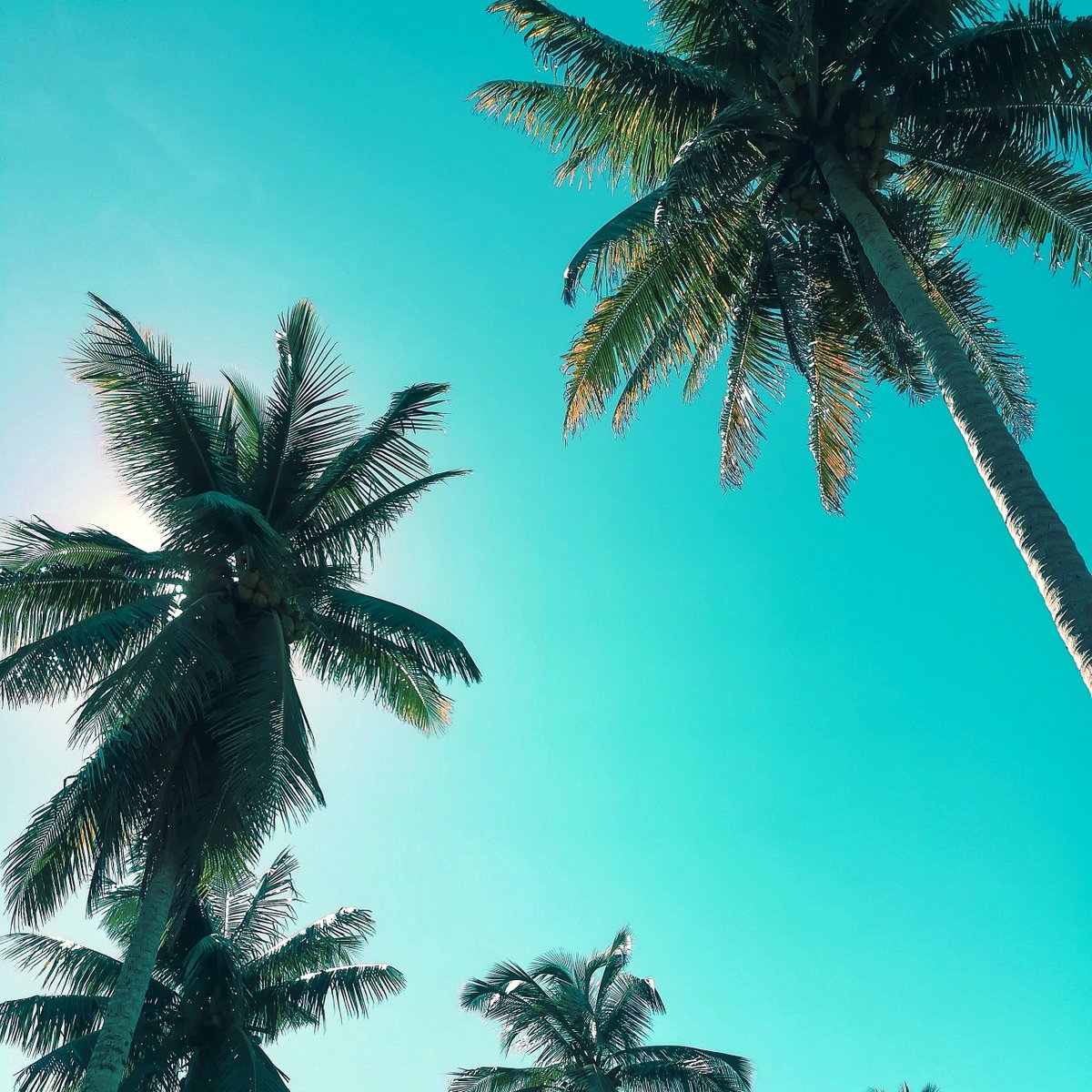 JETRUNWAYCAFE's tweet photo. HAPPY MONDAY FORT LAUDERDALE! 🌴
Don't feel like going out? Stay in and order delivery through our website! 😊🚗
Don't forget to name Jet your favorite place to dine on @Fortlauderdalemagazine BEST 2020! Link in the bio! ✨
#JetYourLife #JetRunwayCafe https://t.co/IITEo2cIPQ