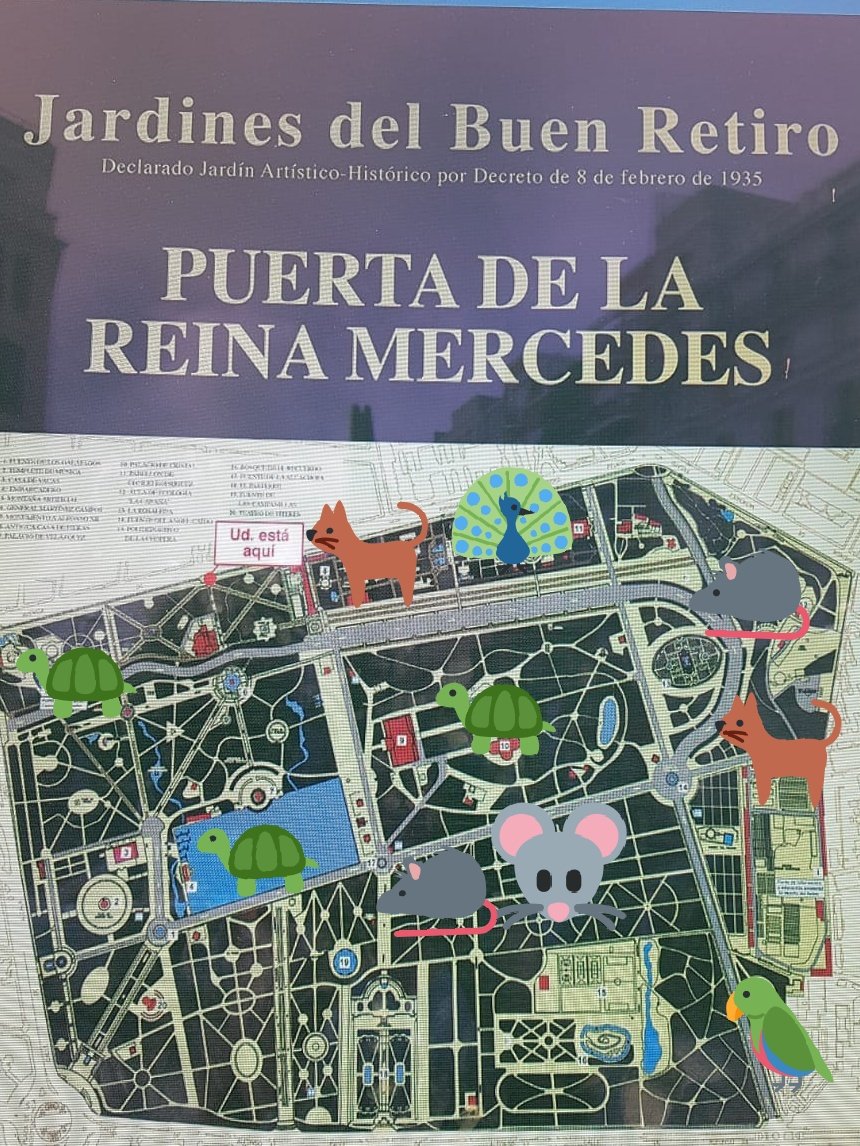 AVRetiroNorte's tweet photo. El nuevo #Ratiro y su fauna'exotica por fin en el mapa https://t.co/lwR54jBYWU
