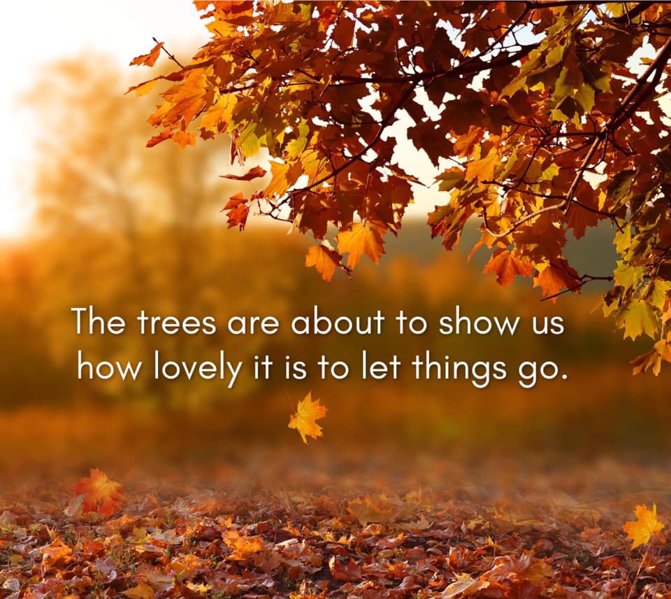 FitWithQuiana's tweet photo. I know--we've already had so many changes this year.  But as the season turns, let's focus on dropping some of the obstacles that have limited us and prepare for new growth! https://t.co/W8uiR8XkmY
