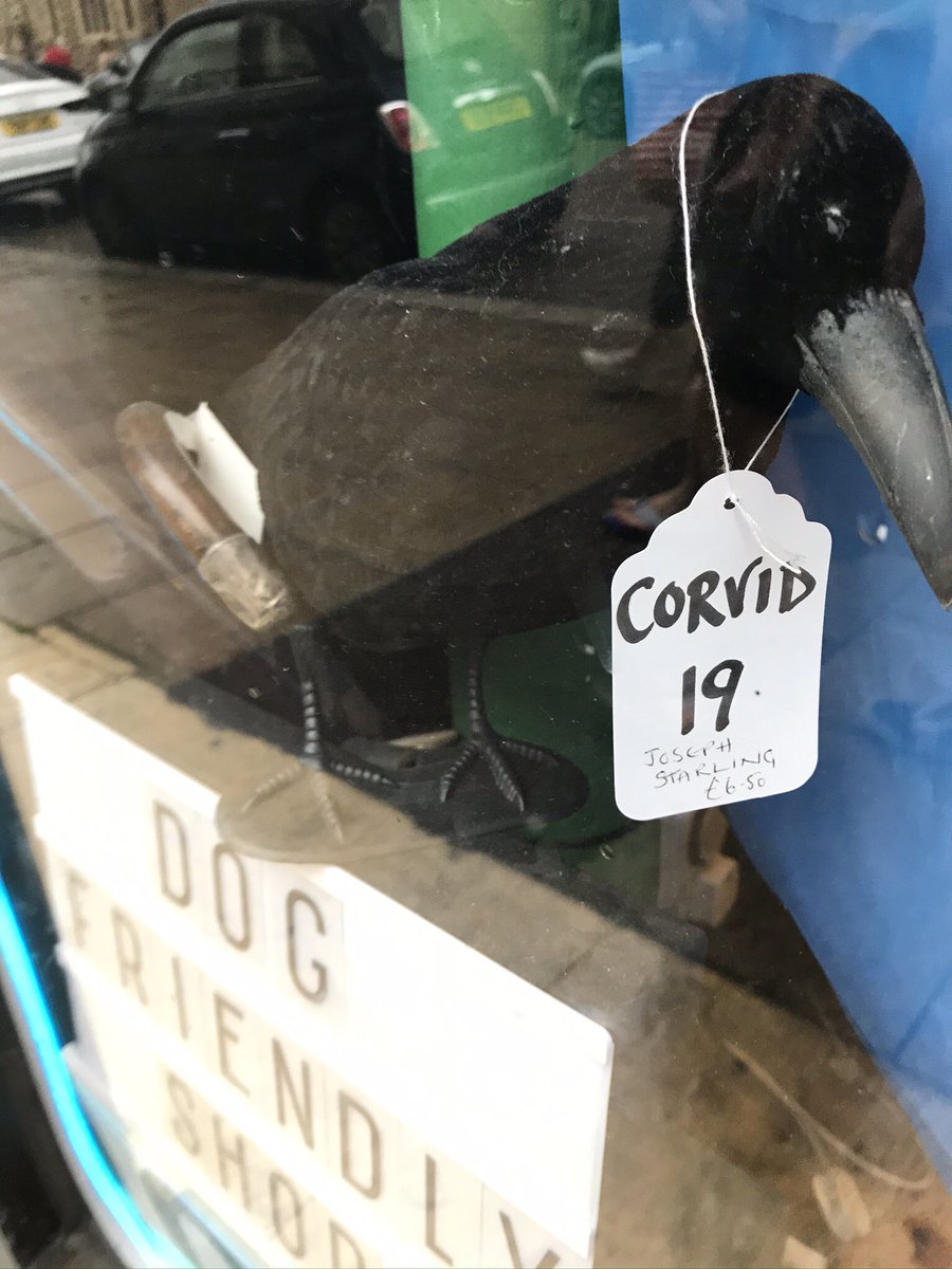 Ian Marsh tweet media