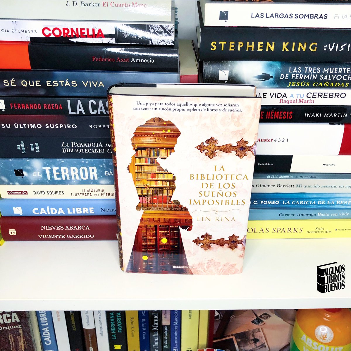 AlgunosLibrosB's tweet photo. #LaBibliotecaDeLosSueñosImposibles, de #LinRina se puso a la venta hace unos días, y no puedes perdértelo @RocaEditorial 
👩🏻‍🏫 https://t.co/iOFxlGFulh
Una joya de libro para todos aquellos que alguna vez soñaron con tener un rincón propio repleto de libros y de sueños… https://t.co/4NWtNpMVWQ