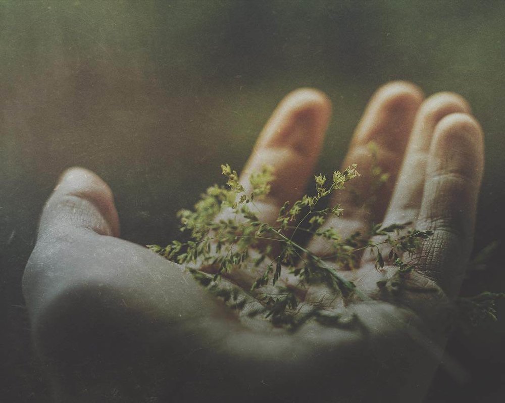 Mextures App tweet media