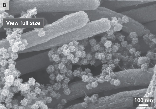 James Hamblin tweet media