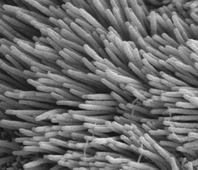 James Hamblin tweet media