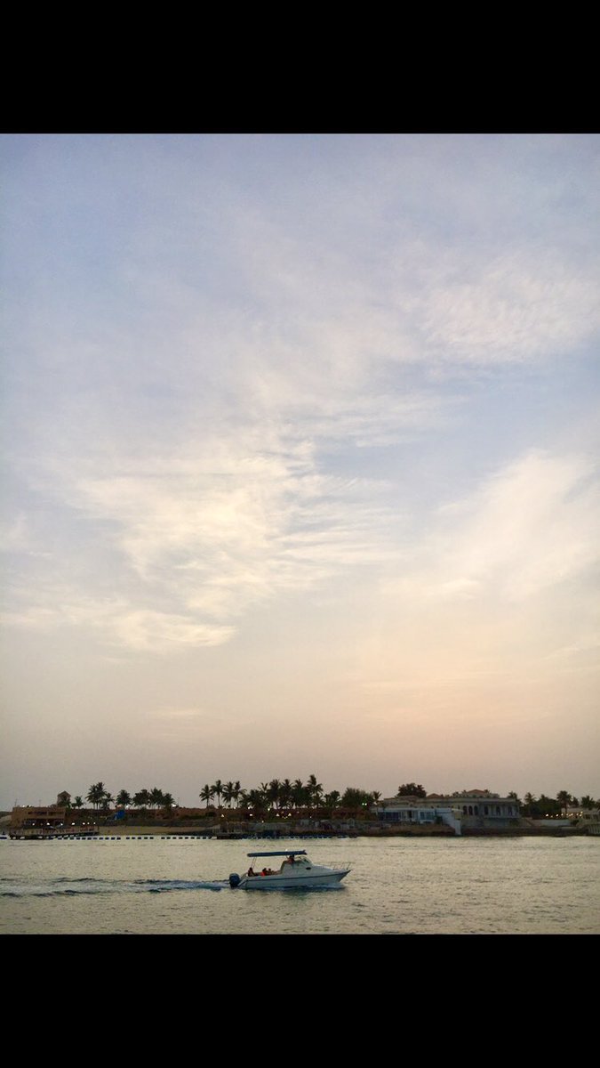 fotoun8's tweet photo. @st_affairs #جامعة_المؤسس_تحتفي_باليوم_الوطني90 https://t.co/4PPdI2TLxY