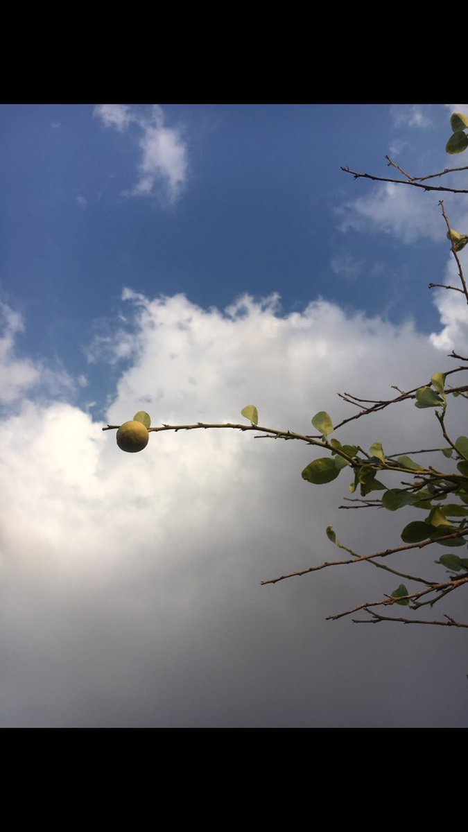 fotoun8's tweet photo. @st_affairs #جامعة_المؤسس_تحتفي_باليوم_الوطني90 https://t.co/4PPdI2TLxY