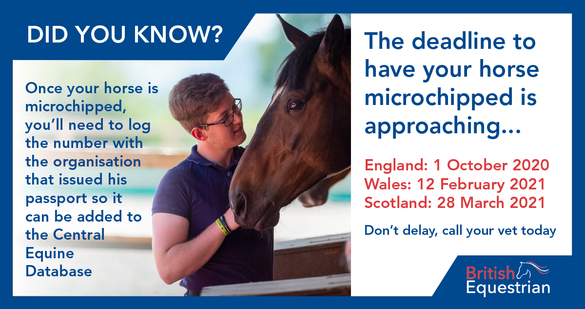 BritEquestrian's tweet image. It's important to check that your horse's microchip number appears on @DefraGovUK's Central Equine Database. If it doesn't, you'll need to log the number with the organisation that issued his passport so it can be added before the upcoming deadline. 

#MicrochipMonday