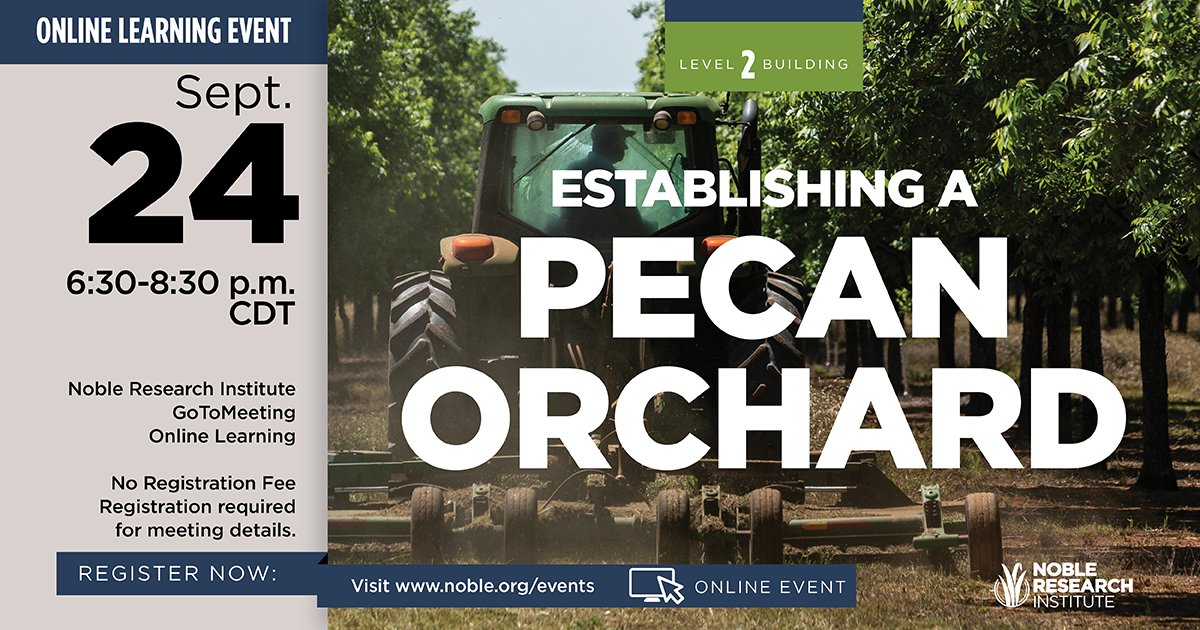 nobleresinst's tweet photo. Join us Sept. 24 at 6:30 p.m. CDT for a free online learning event to prepare you to start your own #pecan #orchard. Spots are limited, so reserve yours today: https://t.co/yhVwaQS7JJ. #NobleLearning #NobleResearchInstitute #agriculture https://t.co/GVCcql7cG1