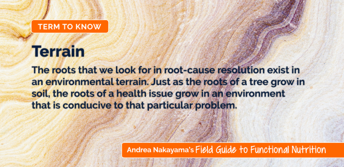 237) If the terrain is balanced, i.e., homeostatic, germs cannot thrive. However, if the terrain is imbalanced, germs will flourish.