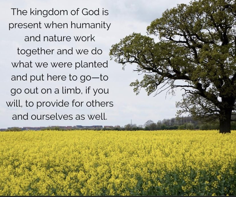 pomonabrethren's tweet photo. From Pastor Lauren's sermon yesterday, on Jesus' parable of the mustard seed which grows into a shrub that provides shade for the birds.

#pomona #church #worship #onlinechurch #onlineworship https://t.co/WB9QVbhlih