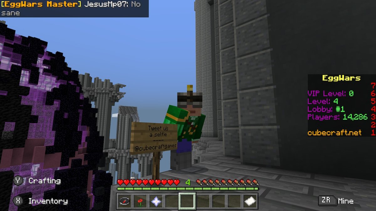 RyanNijssen's tweet photo. @cubecraftgames #Minecraft #NintendoSwitch https://t.co/PmrCiAYnCI