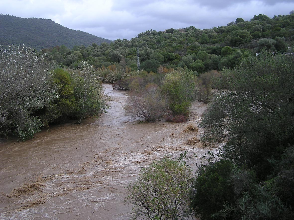 El próximo día 25 celebramos un taller participativo de  <a href="/Q_CLIMA/">Q_CLIMA</a> con expertos e investigadores, representantes de las diferentes demarcaciones hidrográficas y administraciones ambientales. Conoceréis sus resultados. <a href="/Cirefluvial/">Centro Ibérico de Restauración Fluvial - CIREF</a> <a href="/FNCAgua/">Nueva Cultura Agua</a> <a href="/riosconvida/">Ríos con Vida</a> <a href="/WWFespana/">WWF España 🐼</a> <a href="/mitecogob/">Transición Ecológica y Reto Demográfico</a> <a href="/iAgua/">iAgua</a>