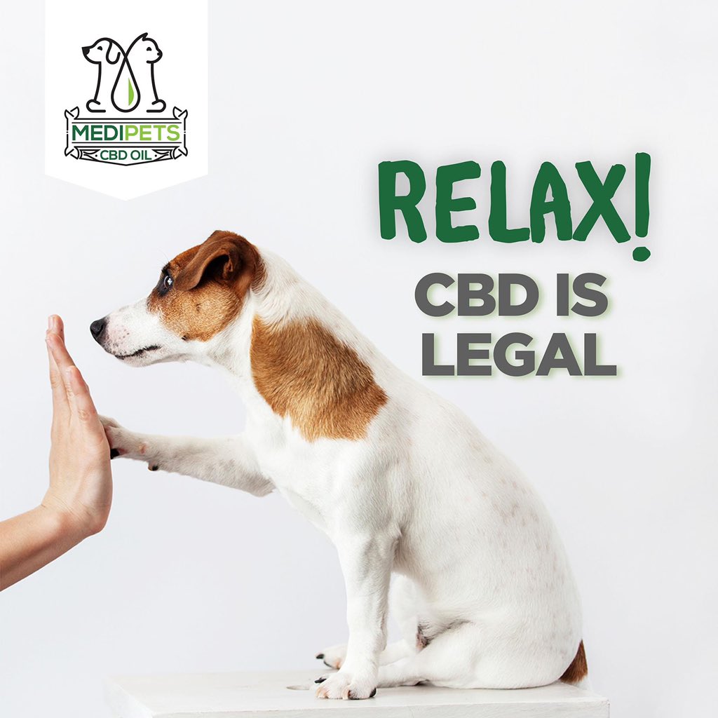 medipetscbd's tweet photo. High five to that! #cbdislegal #cbdworks #cbdforpets #petcbd #cbd #cbdhelps #cbdhealth #cbdoil #cbdtreats #cbdspray #dogs #cats #highfive https://t.co/CcJAdfURPP